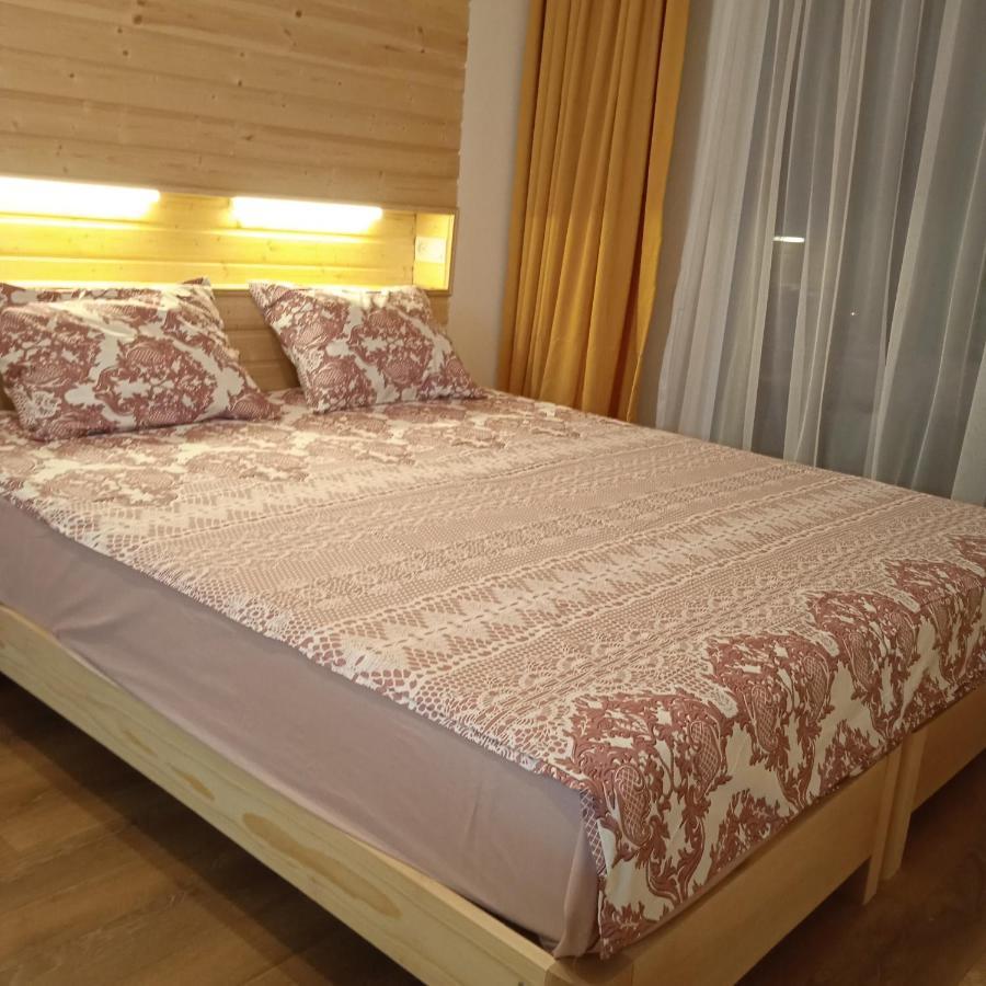 Roshka Apartment 307 Гудаури Екстериор снимка
